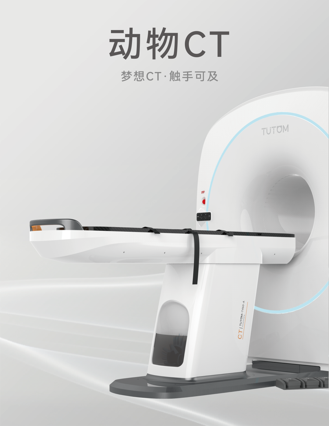 动物CT