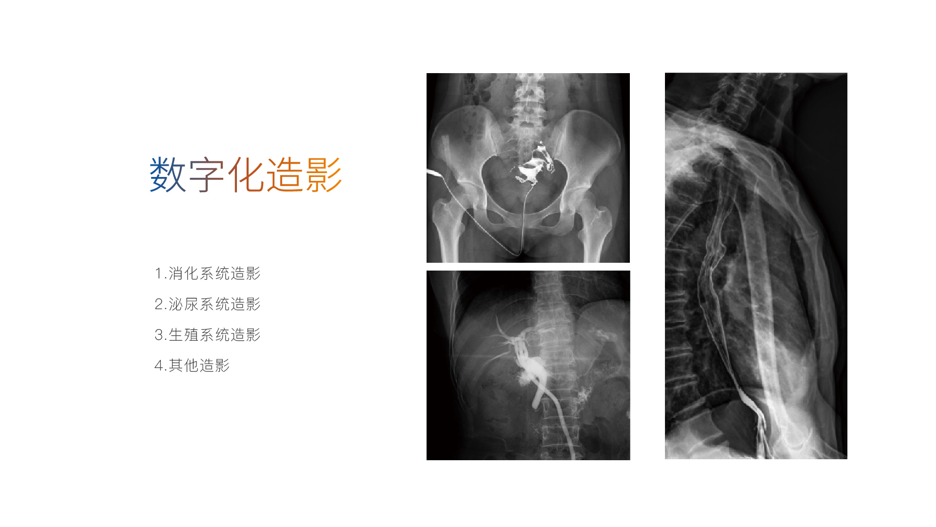 500-560落地页白背景-05.jpg